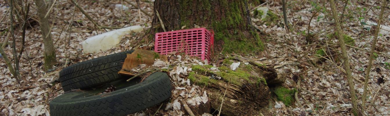 Smeće u šumi