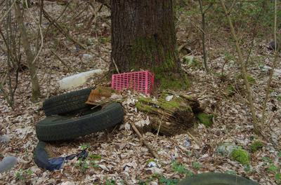 Smeće u šumi